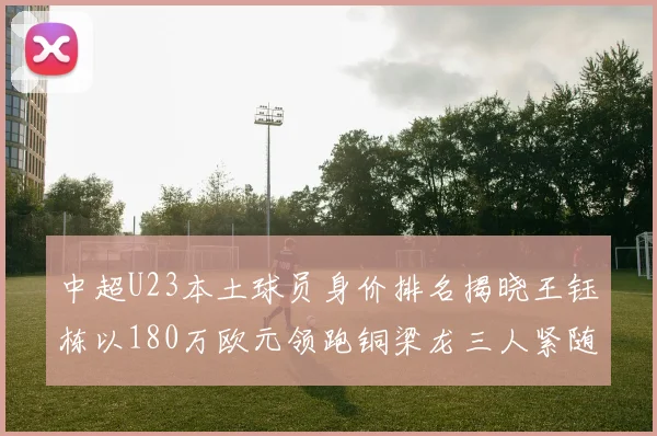 中超U23本土球员身价排名揭晓王钰栋以180万欧元领跑铜梁龙三人紧随其后